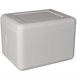 Insulated Foam Cooler 14 1/4