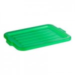 Vigor 20