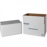 Insulated Foam Cooler 13 5/8 Insulated Foam Cooler 13 5/8