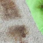 Noble 32 fl. oz. Spot-B-Gone Professional Ready-to-Use Carpet Spot and Stain Remover - 12/Case Noble 32 fl. oz. Spot-B-Gone Professional Ready-to-Use Carpet Spot and Stain Remover - 12/Case