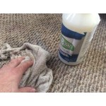 Noble 32 fl. oz. Spot-B-Gone Professional Ready-to-Use Carpet Spot and Stain Remover - 12/Case Noble 32 fl. oz. Spot-B-Gone Professional Ready-to-Use Carpet Spot and Stain Remover - 12/Case