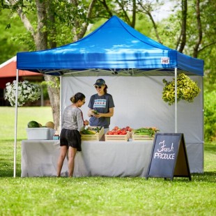 Backyard Pro Courtyard Series 10' x 10' Blue Straight Leg Aluminum Instant Pop Up Canopy Tent and Wall Kit Backyard Pro Courtyard Series 10' x 10' Blue Straight Leg Aluminum Instant Pop Up Canopy Tent and Wall Kit