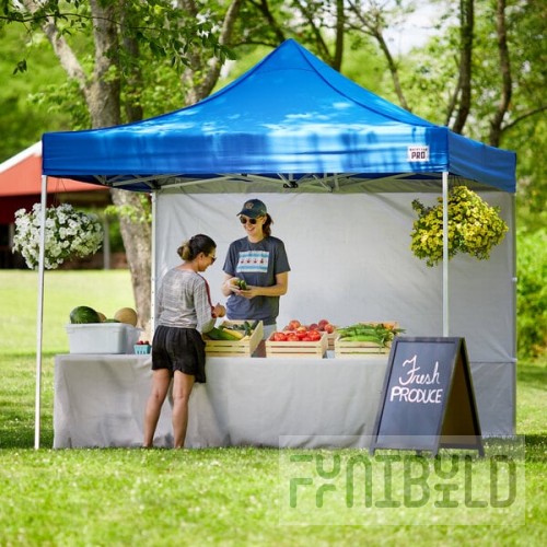 Backyard Pro Courtyard Series 10' x 10' Blue Straight Leg Aluminum Instant Pop Up Canopy Tent and Wall Kit
