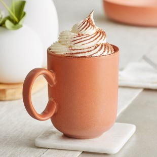 Acopa Pangea 12 oz. Terra Cotta Matte Porcelain Mug - Sample Acopa Pangea 12 oz. Terra Cotta Matte Porcelain Mug - Sample