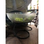 Acopa 7