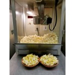 Carnival King PM850 8 oz. Commercial Popcorn Machine / Popper - 120V, 850W