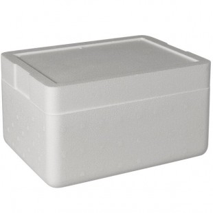 Insulated Foam Cooler 13 3/8