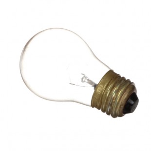 APW Wyott 76874 Light Bulb 220-240V APW Wyott 76874 Light Bulb 220-240V