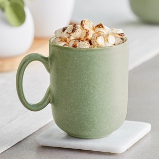 Acopa Pangea 12 oz. Sage Green Matte Porcelain Mug - Sample Acopa Pangea 12 oz. Sage Green Matte Porcelain Mug - Sample