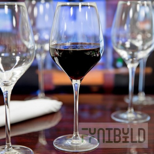 Stolzle Exquisit Royal from Global Tableware Collective 17 oz. All-Purpose Wine Glass - 6/Pack