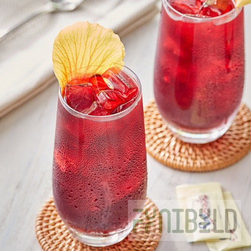 Davidson's Organic Te De Hibiscus Herbal Iced Tea Filter Packs 1 Gallon - 48/Case