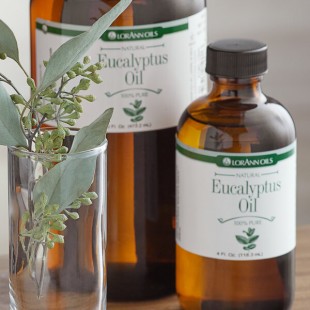 LorAnn Oils 4 fl. oz. All-Natural Eucalyptus Super Strength Flavor LorAnn Oils 4 fl. oz. All-Natural Eucalyptus Super Strength Flavor