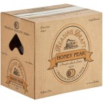 Reading Soda Works Honey Pear 12 fl. oz. - 12/Case