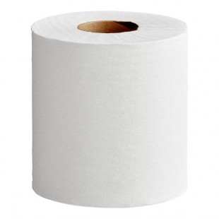Scott® Essential Center-Pull Paper Towel Roll, 700' - 6/Case