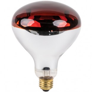 Lavex 250 Watt Red Infrared Heat Lamp Light Bulb