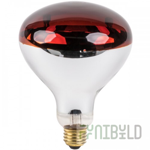 Lavex 250 Watt Red Infrared Heat Lamp Light Bulb