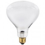 Lavex 250 Watt Red Infrared Heat Lamp Light Bulb