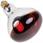 Lavex 250 Watt Red Infrared Heat Lamp Light Bulb