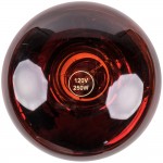 Lavex 250 Watt Red Infrared Heat Lamp Light Bulb