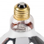 Lavex 250 Watt Red Infrared Heat Lamp Light Bulb