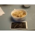 Dart 8SJ12 8 oz. Squat White Foam Food Container - 50/Pack