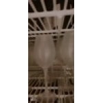 Acopa Select Blanc 13 oz. Wine Glass - Sample