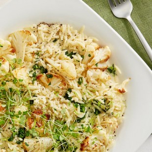 Barilla Orzo Pasta 1 lb.