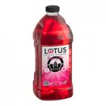 Lotus Plant Energy Cream Base 3:1 Concentrate 64 fl. oz.