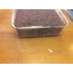 Rubbermaid® 18 Qt. Clear Square Polycarbonate Food Storage Container Rubbermaid® 18 Qt. Clear Square Polycarbonate Food Storage Container