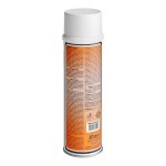 Noble 15 oz. Clean It Quick Ready-to-Use Vandalism Mark Remover