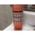 Noble 15 oz. Clean It Quick Ready-to-Use Vandalism Mark Remover