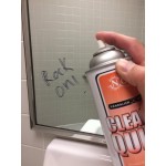 Noble 15 oz. Clean It Quick Ready-to-Use Vandalism Mark Remover