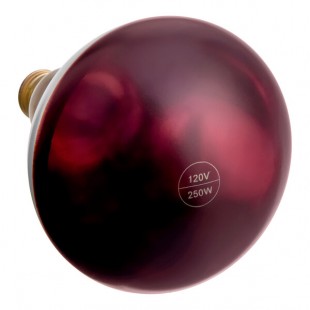 Lavex 250 Watt Red Coated Infrared Heat Lamp Light Bulb
