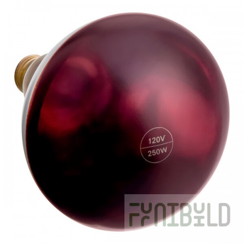Lavex 250 Watt Red Coated Infrared Heat Lamp Light Bulb