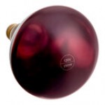 Lavex 250 Watt Red Coated Infrared Heat Lamp Light Bulb Lavex 250 Watt Red Coated Infrared Heat Lamp Light Bulb
