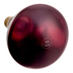 Lavex 250 Watt Red Coated Infrared Heat Lamp Light Bulb Lavex 250 Watt Red Coated Infrared Heat Lamp Light Bulb