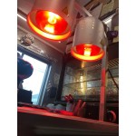 Lavex 250 Watt Red Coated Infrared Heat Lamp Light Bulb Lavex 250 Watt Red Coated Infrared Heat Lamp Light Bulb