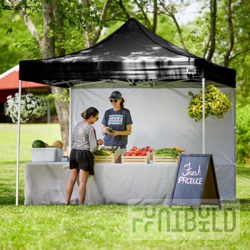 Backyard Pro Courtyard Series 10' x 10' Black Straight Leg Aluminum Instant Pop Up Canopy Tent and Wall Kit
