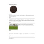 Davidson's Organic Russian Caravan Loose Leaf Tea 1 lb. Davidson's Organic Russian Caravan Loose Leaf Tea 1 lb.