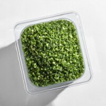 SupHerb Farms Super Fine Chopped Blanched Basil 7 lb. SupHerb Farms Super Fine Chopped Blanched Basil 7 lb.