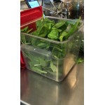 Choice 8 Qt. Translucent Square Polypropylene Food Storage Container