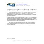 Vestil Heavy-Duty Steel Die Lift Tong with 20 1/4 Vestil Heavy-Duty Steel Die Lift Tong with 20 1/4