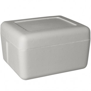 Insulated Foam Cooler 13 3/8