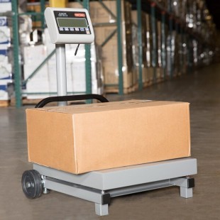 Tor Rey FS-500/1000 1000 lb. Digital Receiving Scale with Tower Display, Legal for Trade