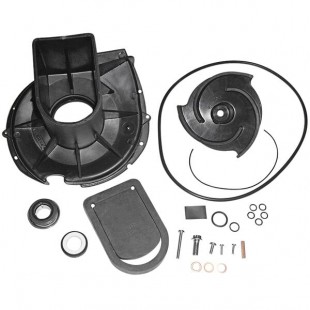 Pacer Pumps S Series P-58-702EP-P Rebuild Kit for Model SE2PL