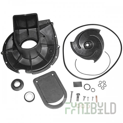 Pacer Pumps S Series P-58-702EP-P Rebuild Kit for Model SE2PL