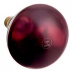 Lavex 250 Watt Infrared Heat Lamp Light Bulb