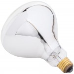 Lavex 250 Watt Infrared Heat Lamp Light Bulb
