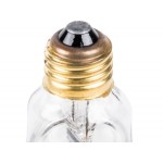 Lavex 250 Watt Infrared Heat Lamp Light Bulb