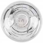 Lavex 250 Watt Infrared Heat Lamp Light Bulb